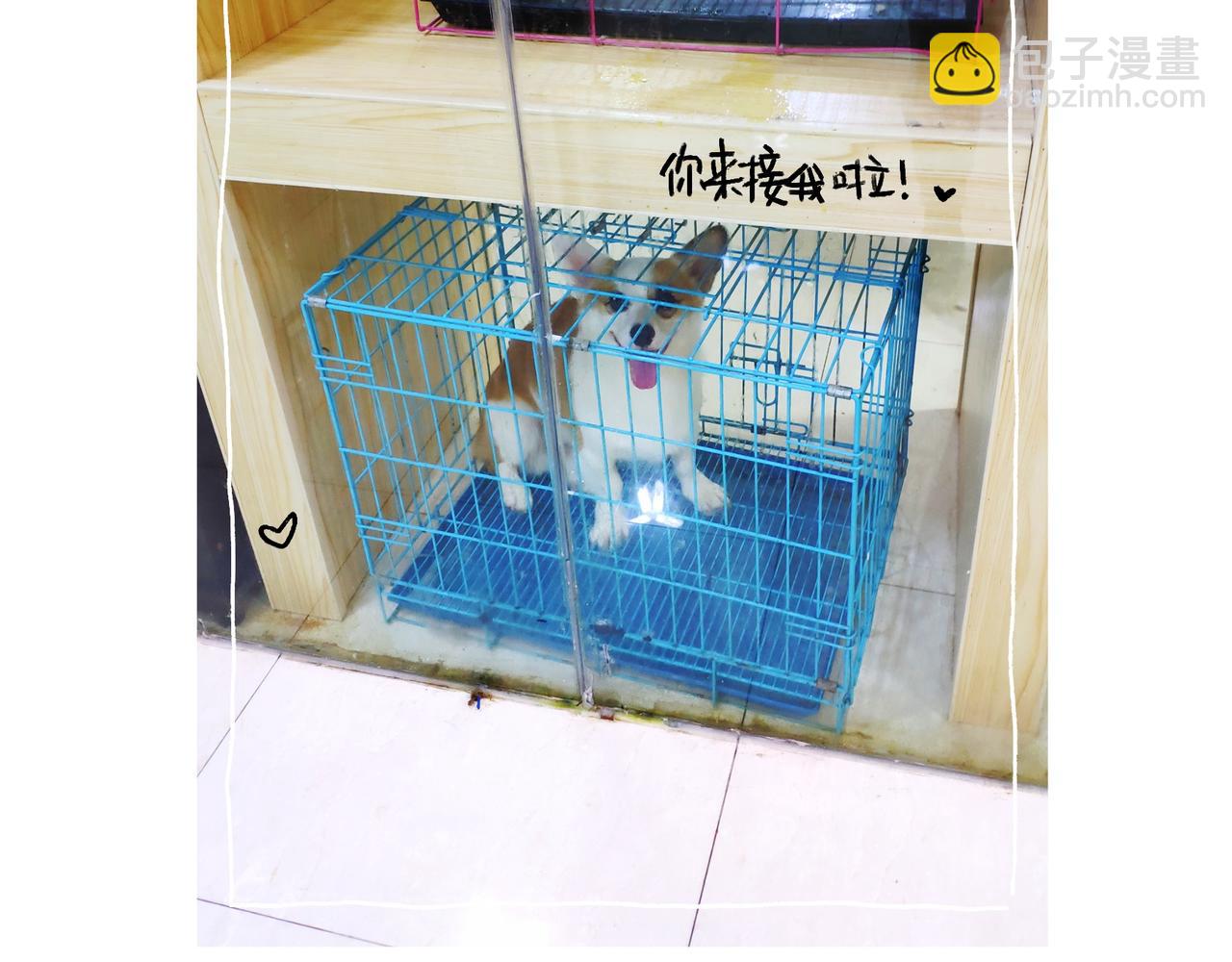 《地呱炒土豆》小幸福与小乌龙 第17页