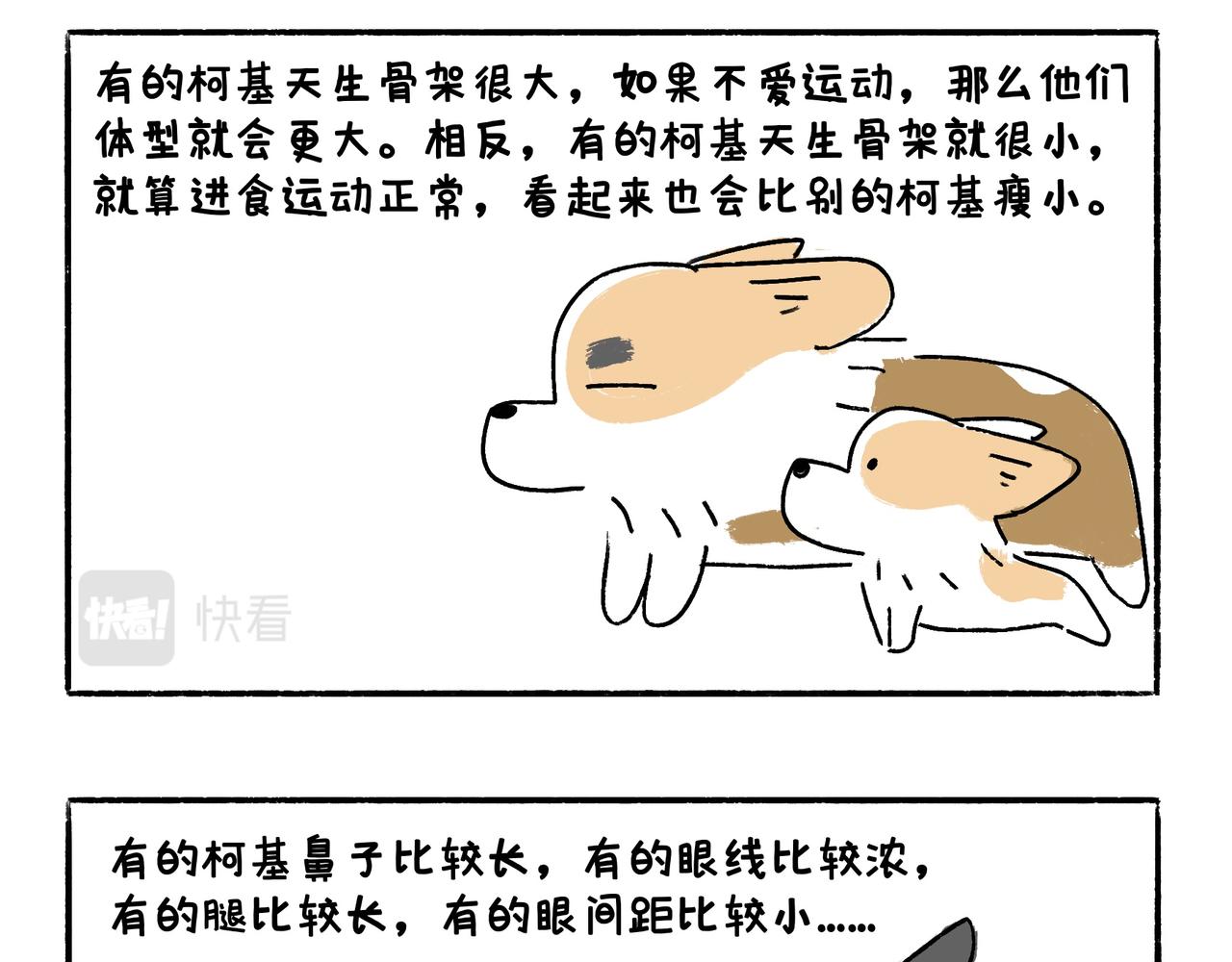 《地呱炒土豆》爸爸的离谱频道 第22页