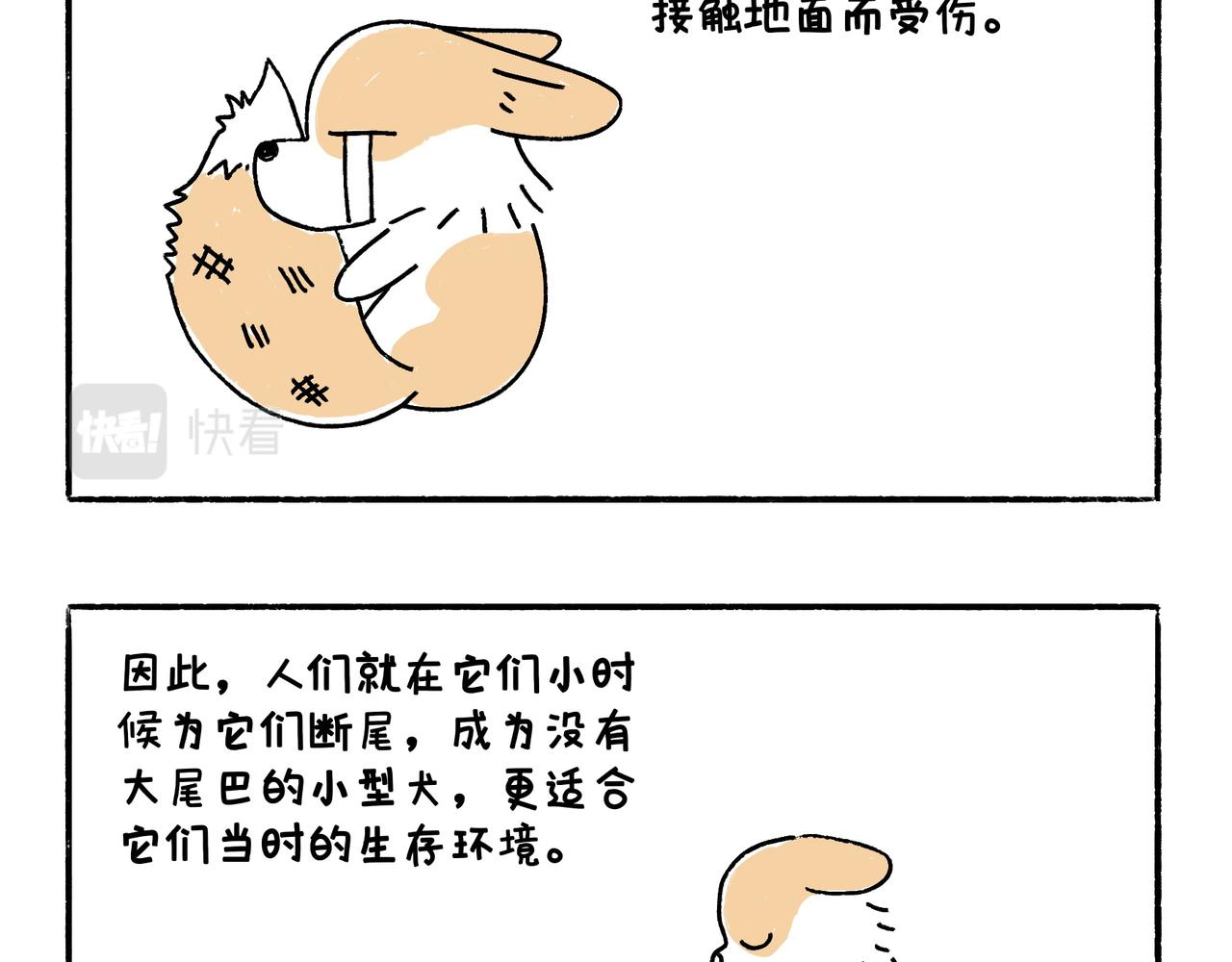 《地呱炒土豆》爸爸的离谱频道 第7页