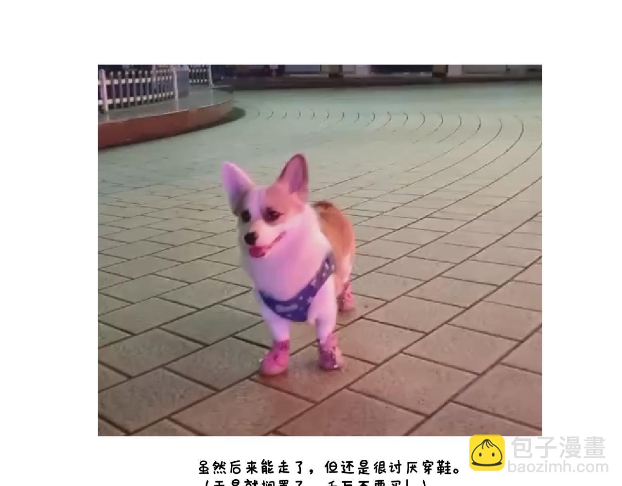 《地呱炒土豆》哎呀！冬天！ 第36页