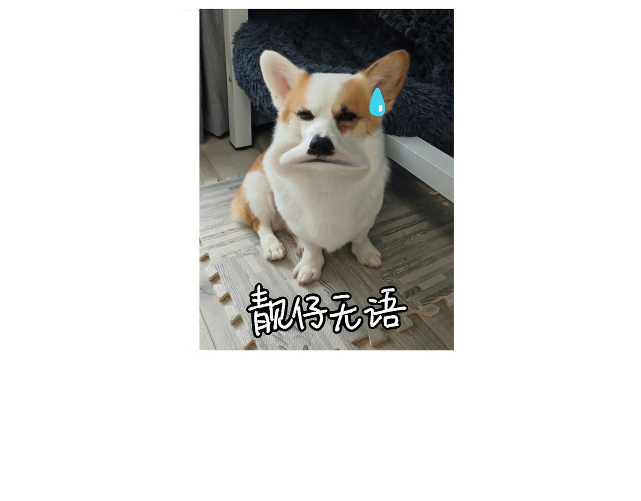 《地呱炒土豆》虎年春节篇1 第13页