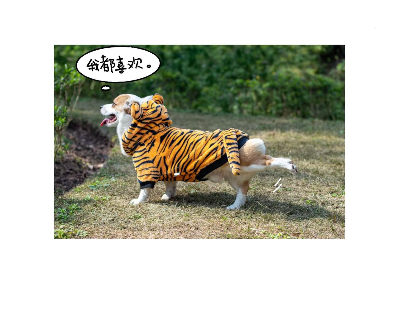 《地呱炒土豆》虎年春节篇1 第30页