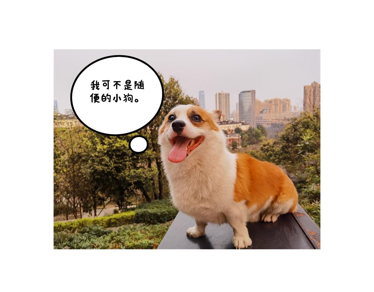 《地呱炒土豆》爸爸的科普频道3 第35页
