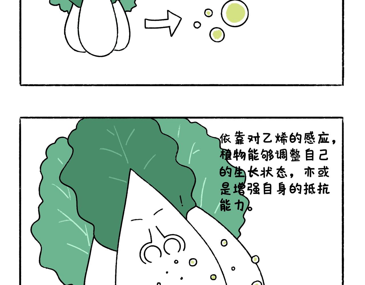 《地呱炒土豆》爸爸的科普频道3 第4页