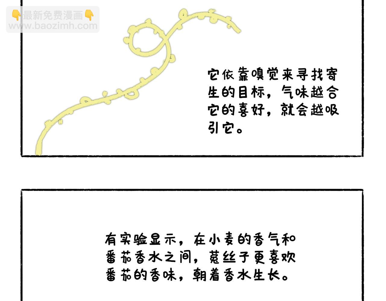 《地呱炒土豆》爸爸的科普频道3 第7页