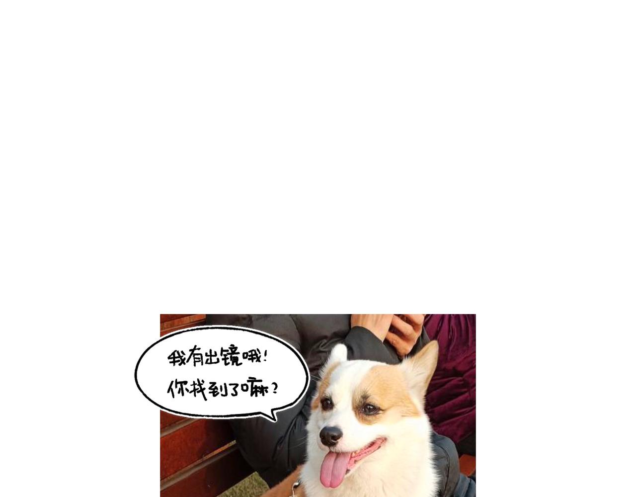 《地呱炒土豆》请勿打扰 第14页