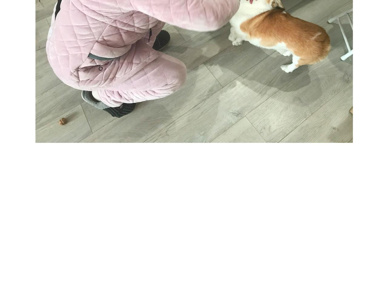 《地呱炒土豆》虎年春节篇2 第36页