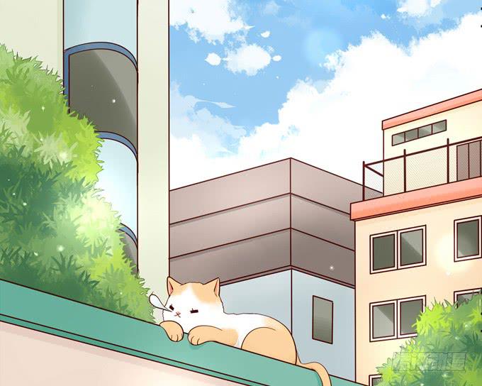 《锦绣恋人》第38话段师兄等着我！ 第3页
