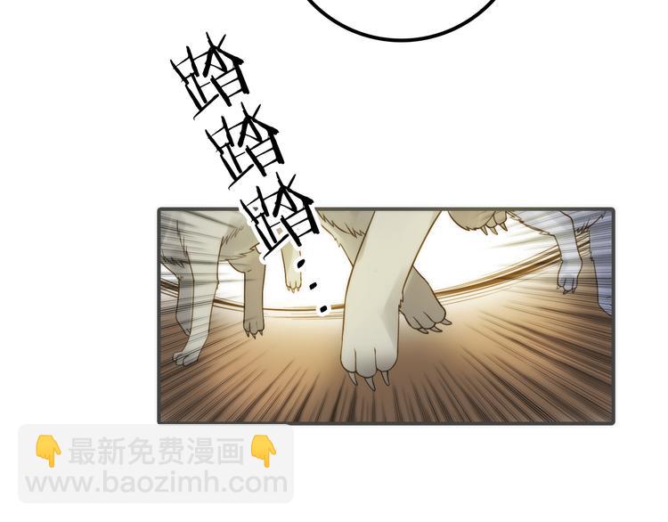 《抢个媳夫好过年》第10话 建立赌约 第41页