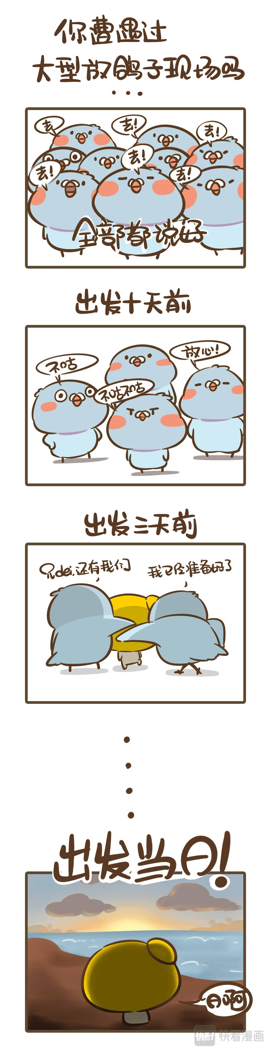 《侬脑子进菇了》身边都是鸽子精是什么体验？ 第7页