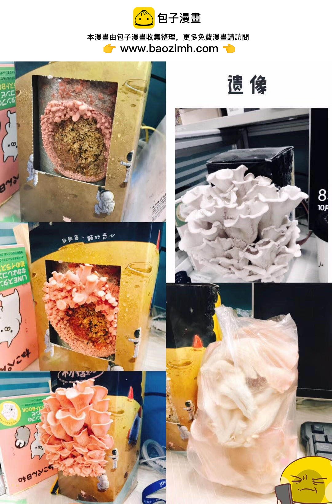 《侬脑子进菇了》杏鲍菇料理课堂第一课 第2页