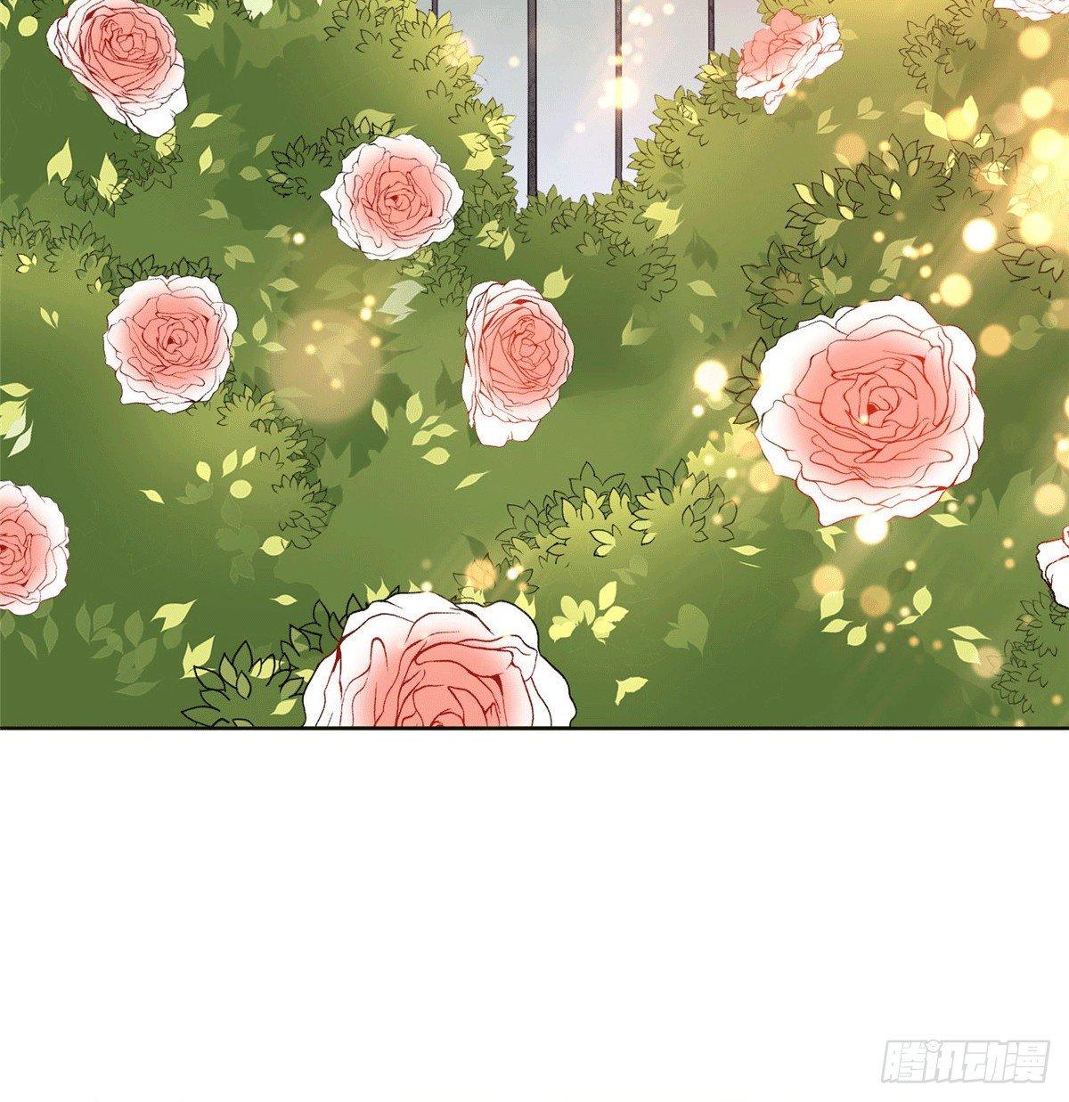 《试婚老公，要给力》第二十七话 宣布复出 第5页