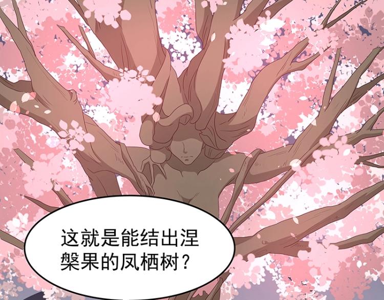 《魔王奶爸修炼中》第34话 涅盘果 第19页