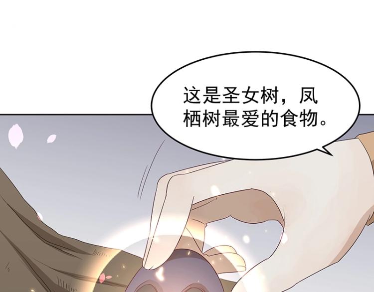 《魔王奶爸修炼中》第34话 涅盘果 第23页