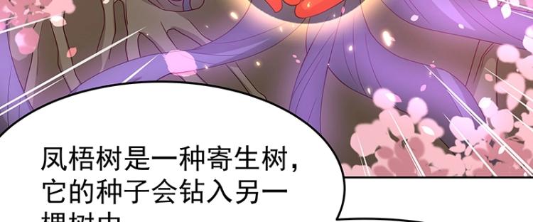 《魔王奶爸修炼中》第34话 涅盘果 第33页