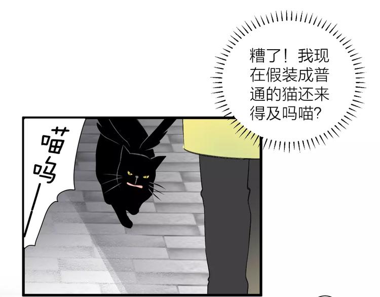 《纯洁关系》第12话 万人迷的烦恼 第35页