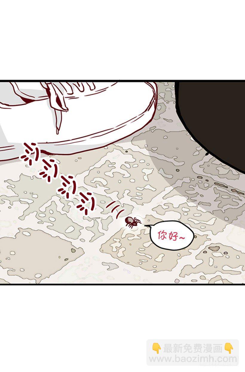 《金秘书怎么突然这样》蜘蛛恐惧症 第14页