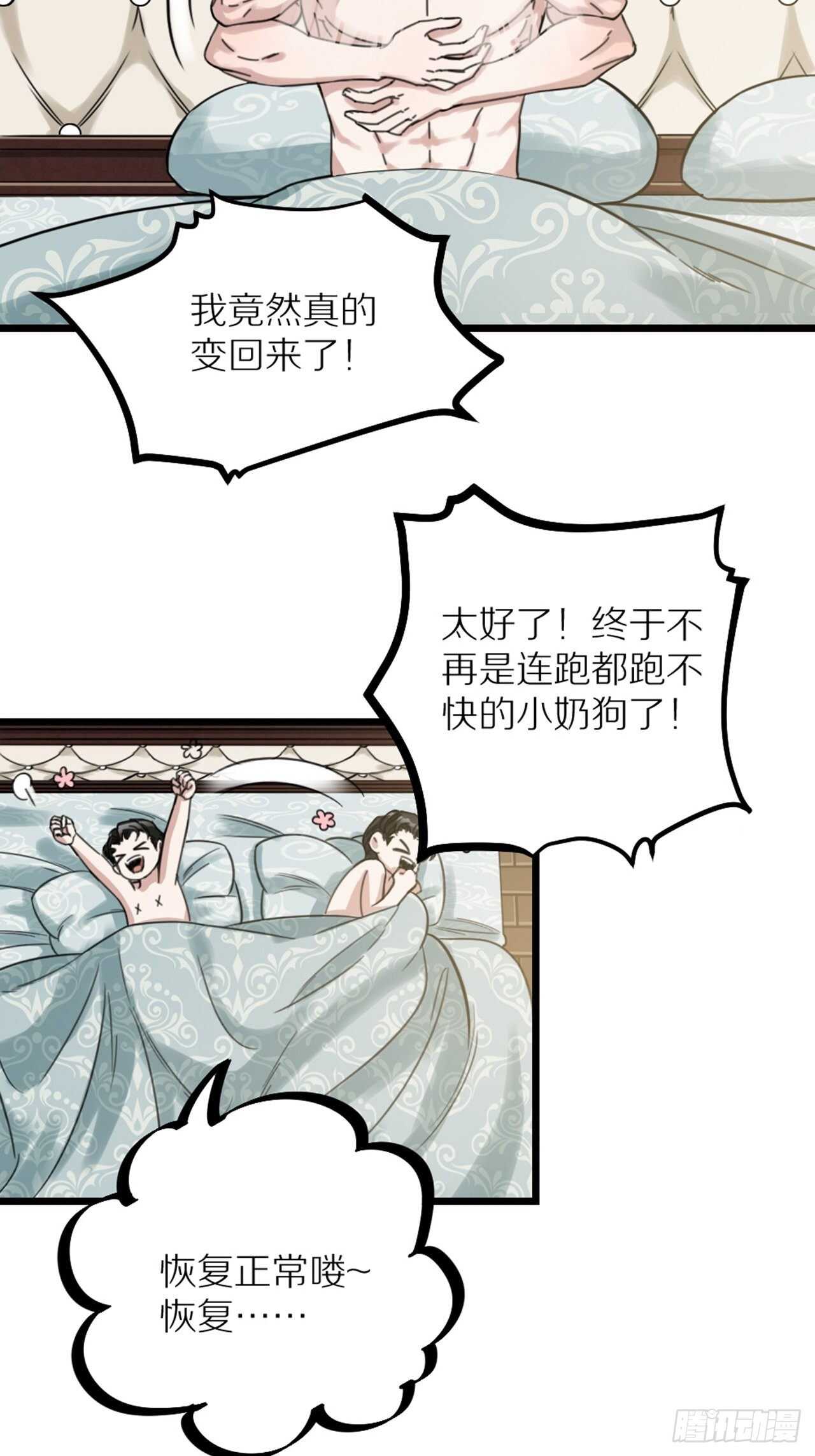 《夫夫倾城》第41话 狼狈 第13页