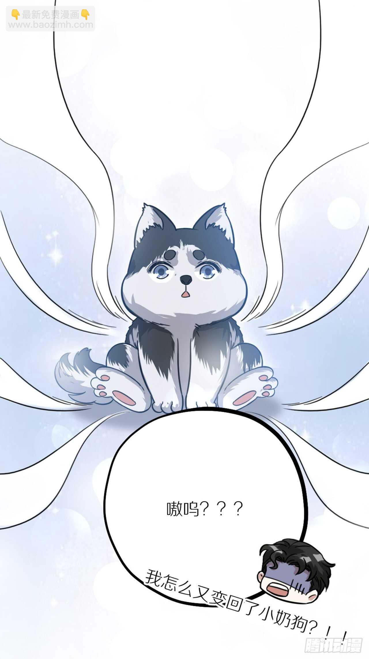 《夫夫倾城》第41话 狼狈 第30页