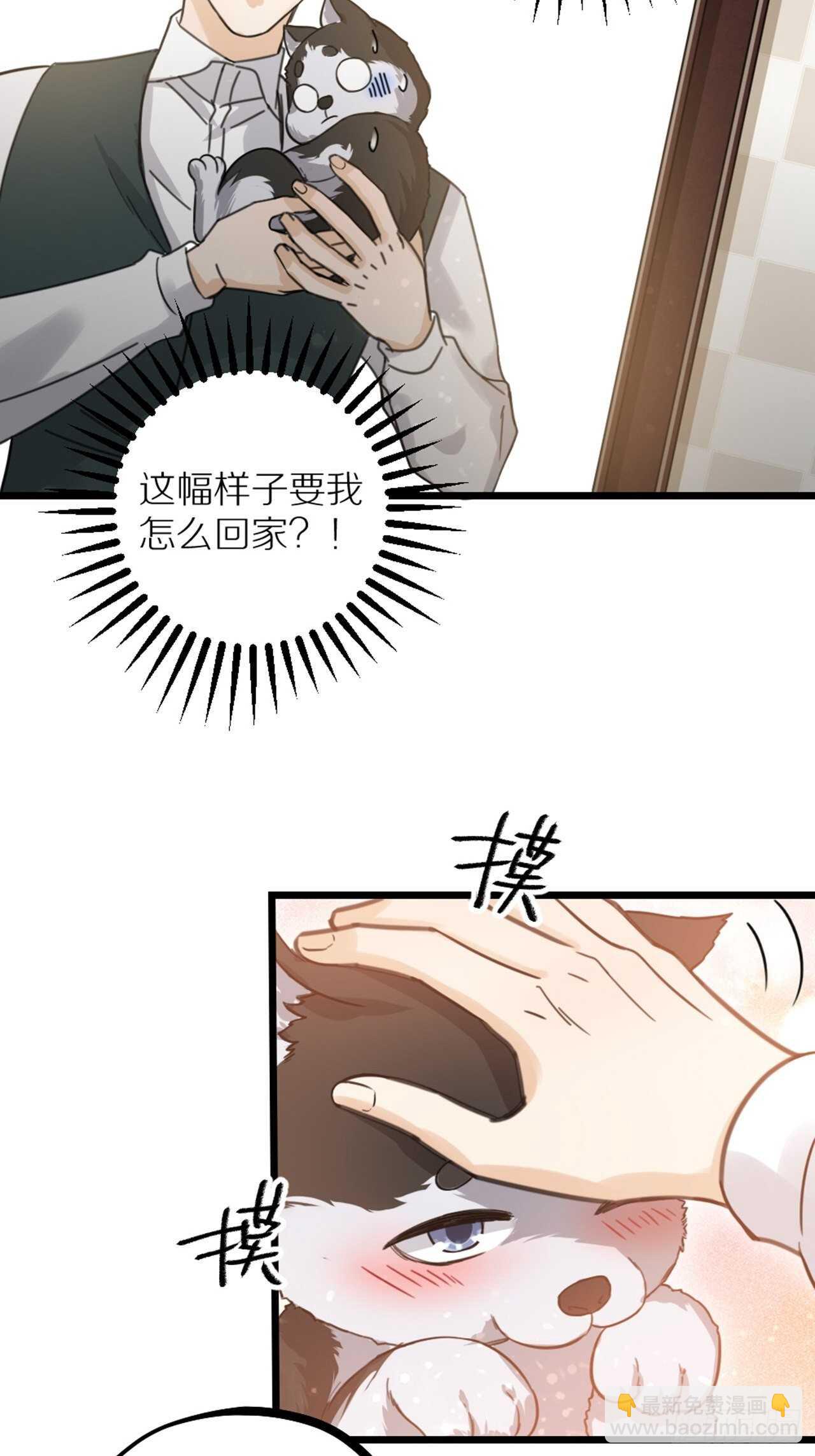 《夫夫倾城》第41话 狼狈 第32页