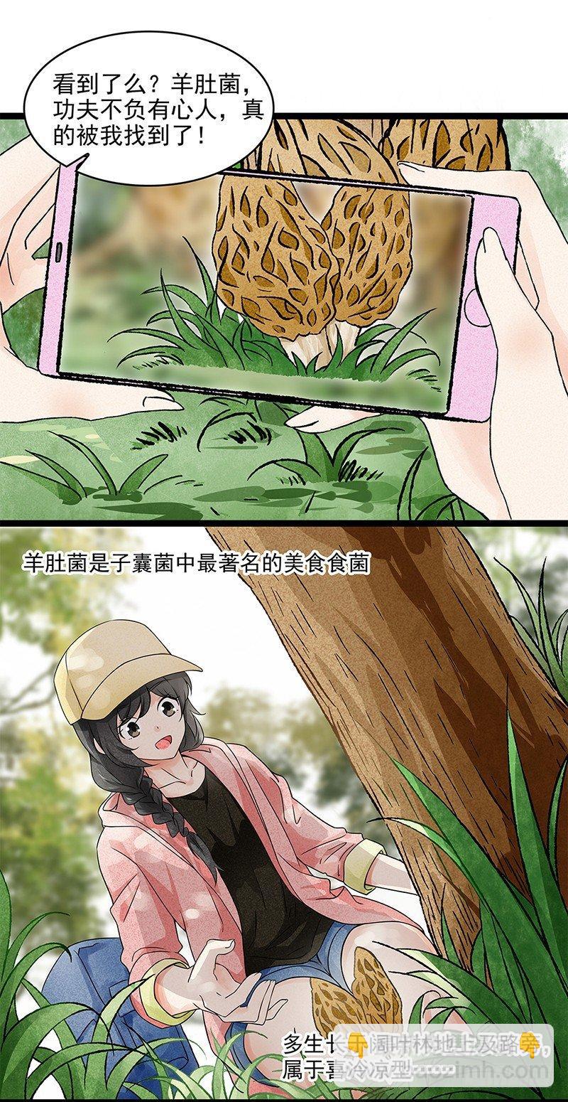 《红楼私房菜》1 第6页