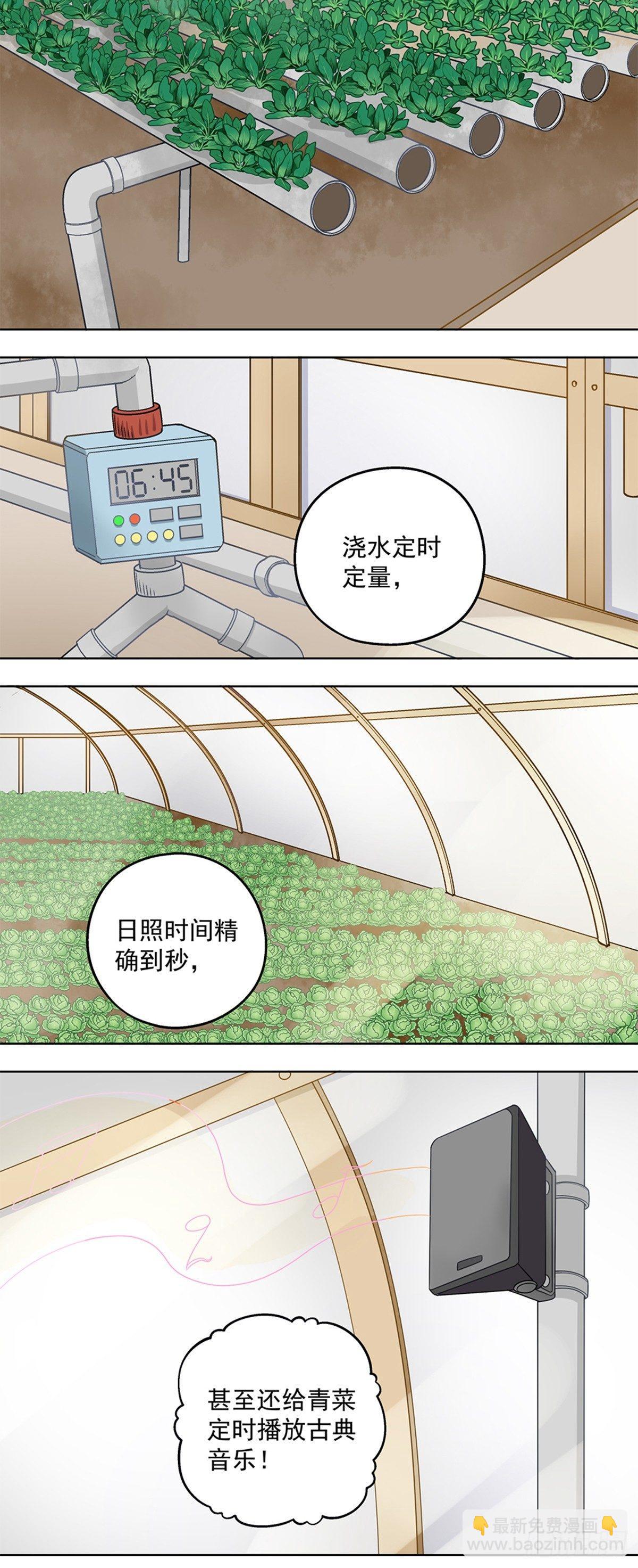 《红楼私房菜》37 第13页