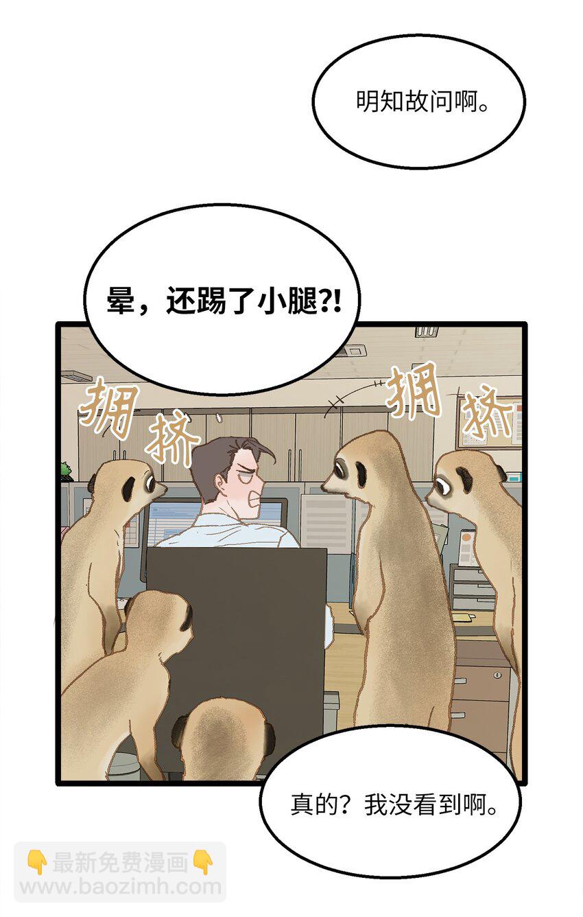 《恋爱禁止区域》11 我这张嘴啊 第41页