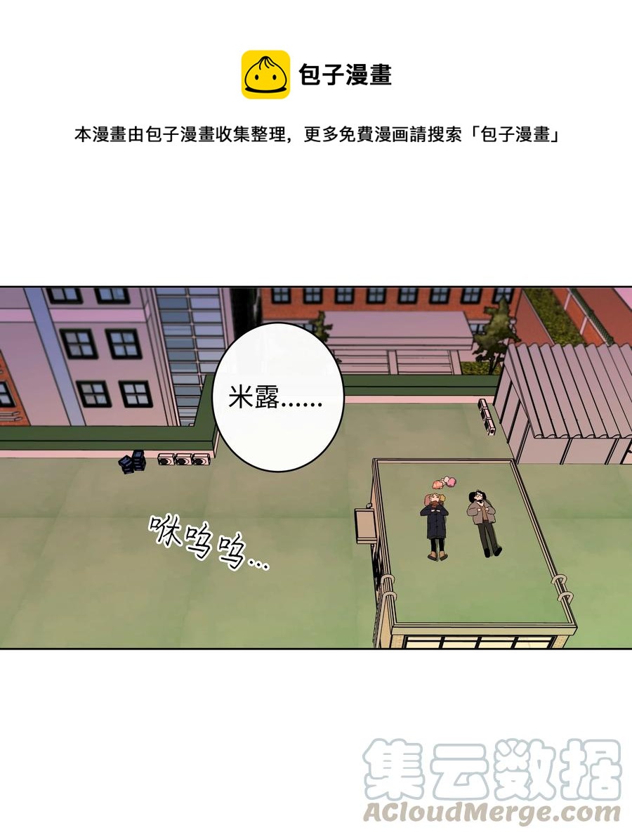 《迷路进行曲》29 纷飞 第1页
