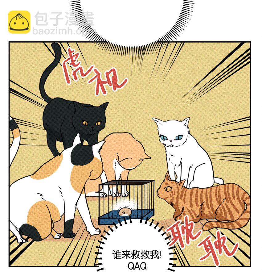 《不要吃掉我的小饼干》004 现在就签约！ 第4页