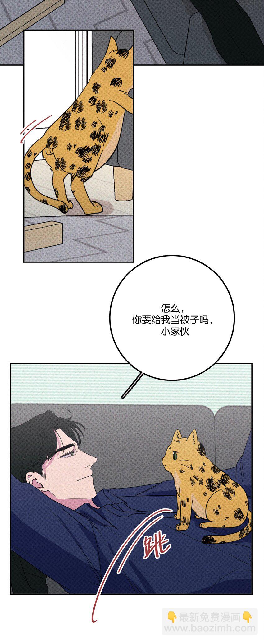 《不要吃掉我的小饼干》005 专属经纪人 第42页