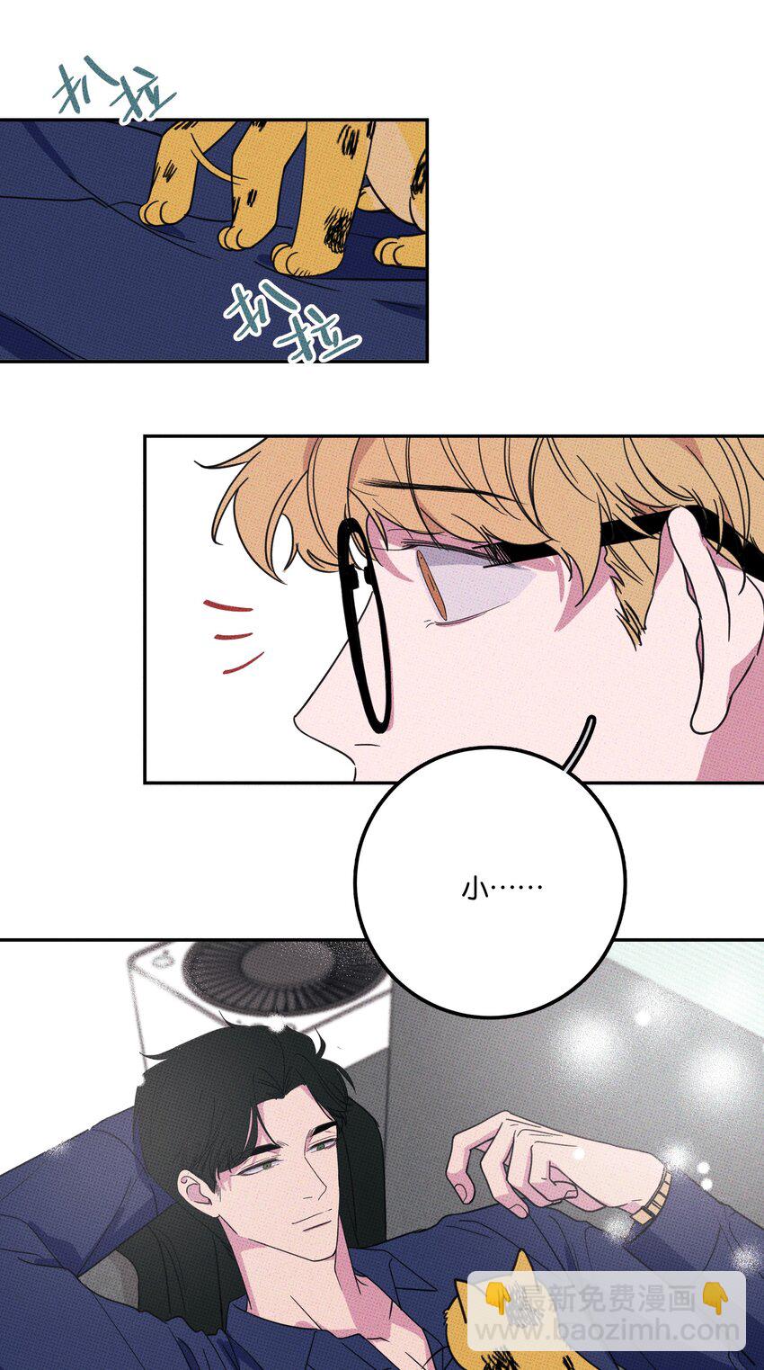 《不要吃掉我的小饼干》005 专属经纪人 第43页