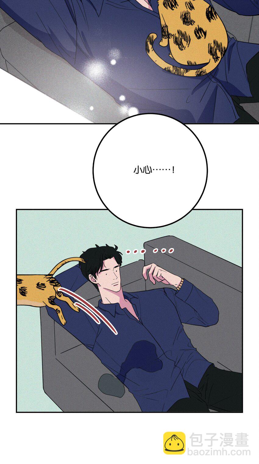 《不要吃掉我的小饼干》005 专属经纪人 第44页