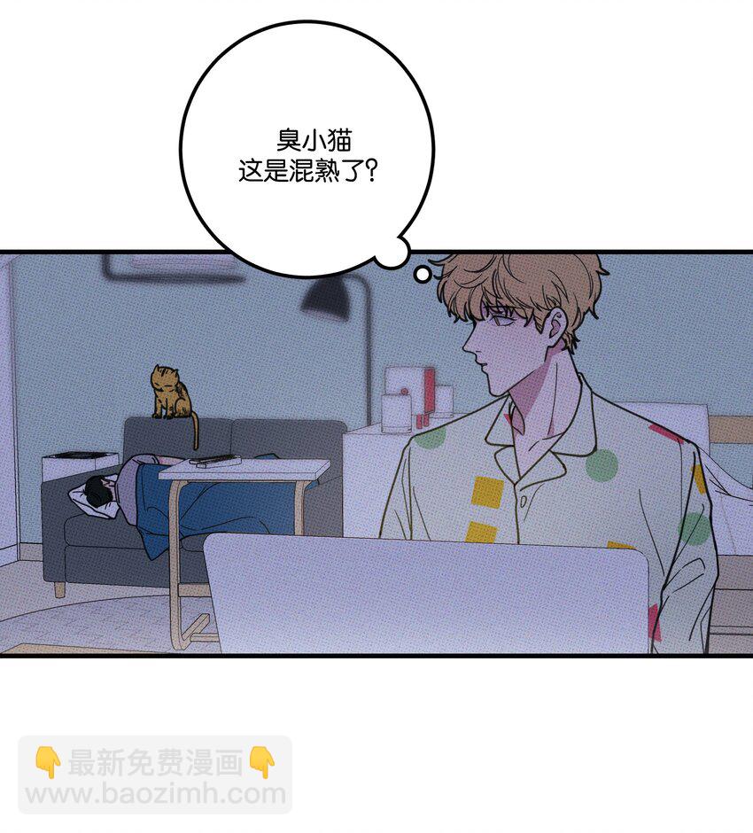 《不要吃掉我的小饼干》010 夜来香 第4页