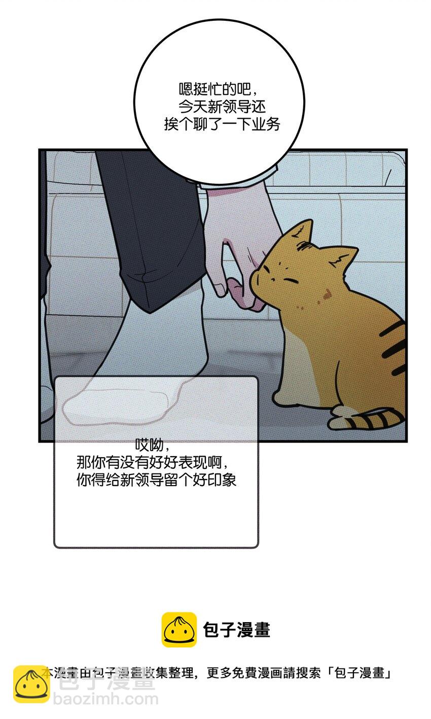 《不要吃掉我的小饼干》018 狗头保命 第37页