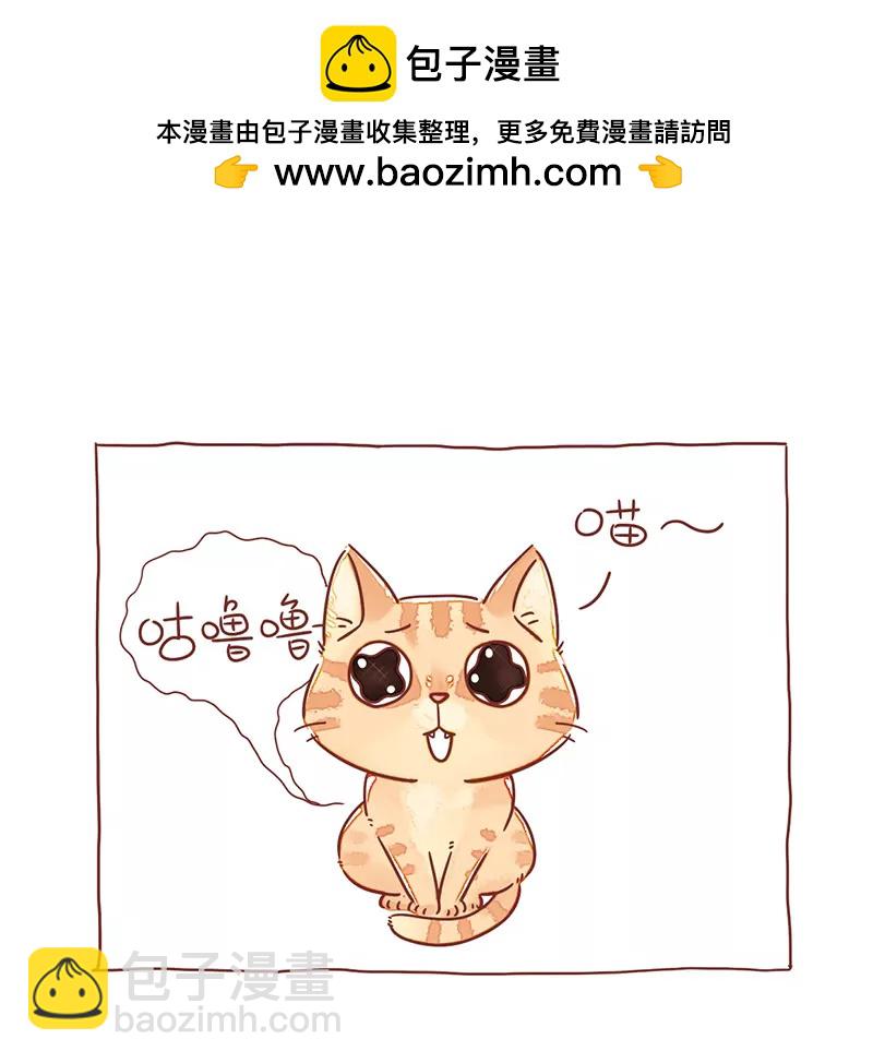《米米和呆毛兔》呆毛兔喂猫 第5页