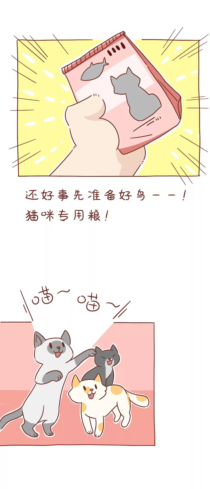 《米米和呆毛兔》王者的高傲 第5页