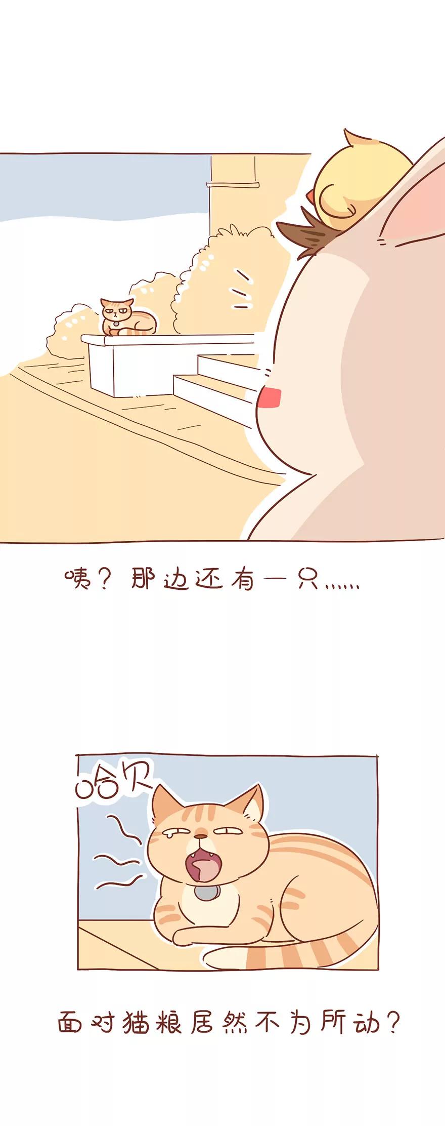《米米和呆毛兔》王者的高傲 第7页