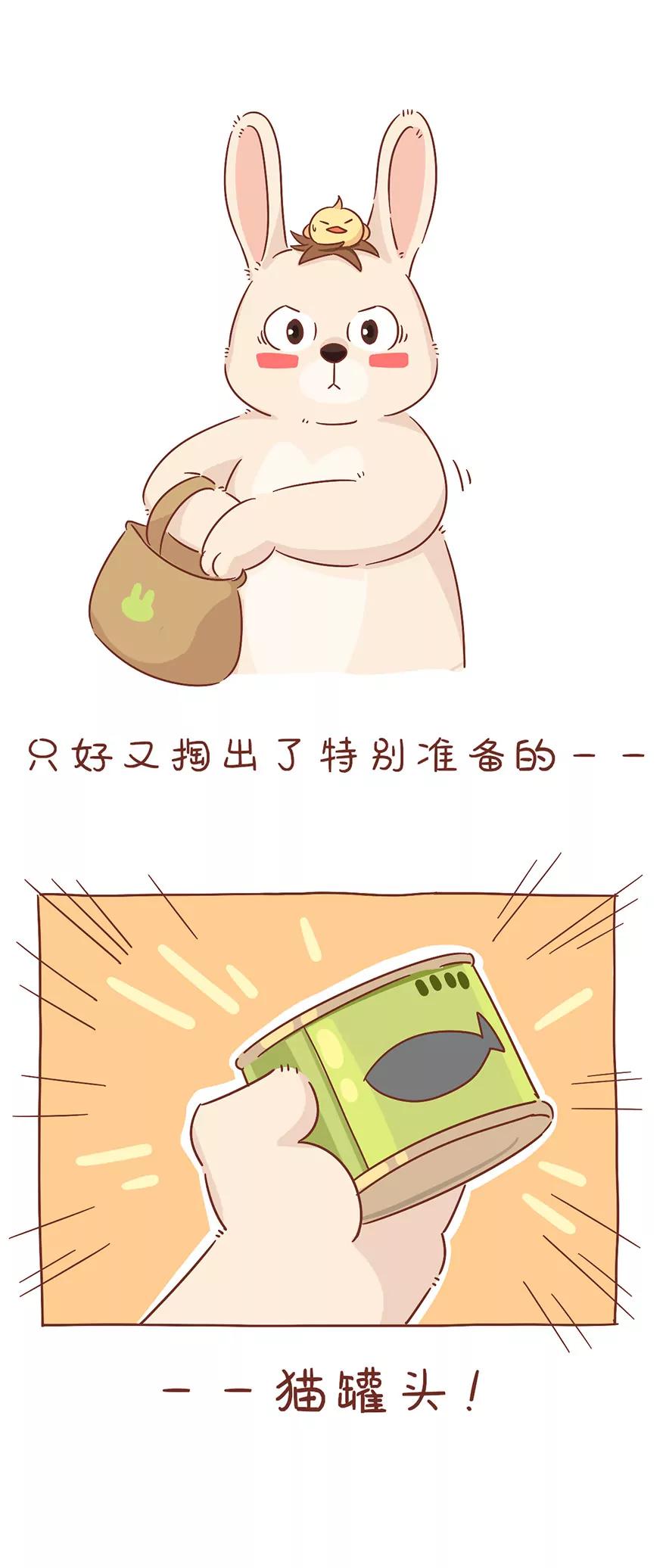《米米和呆毛兔》王者的高傲 第8页