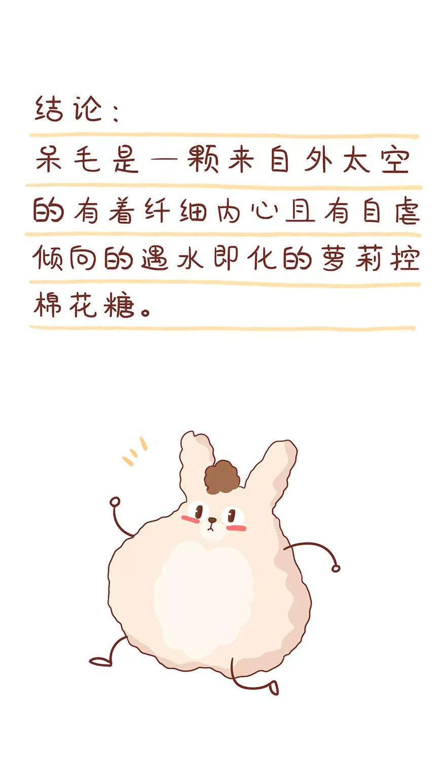 《米米和呆毛兔》观察日记 第12页