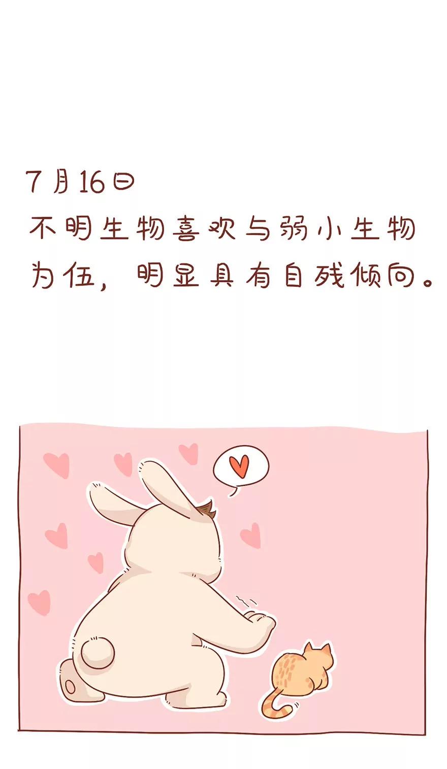 《米米和呆毛兔》观察日记 第9页