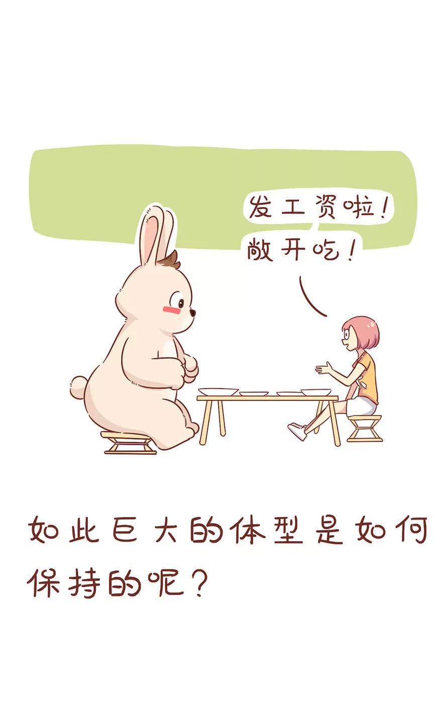 《米米和呆毛兔》体形 第9页