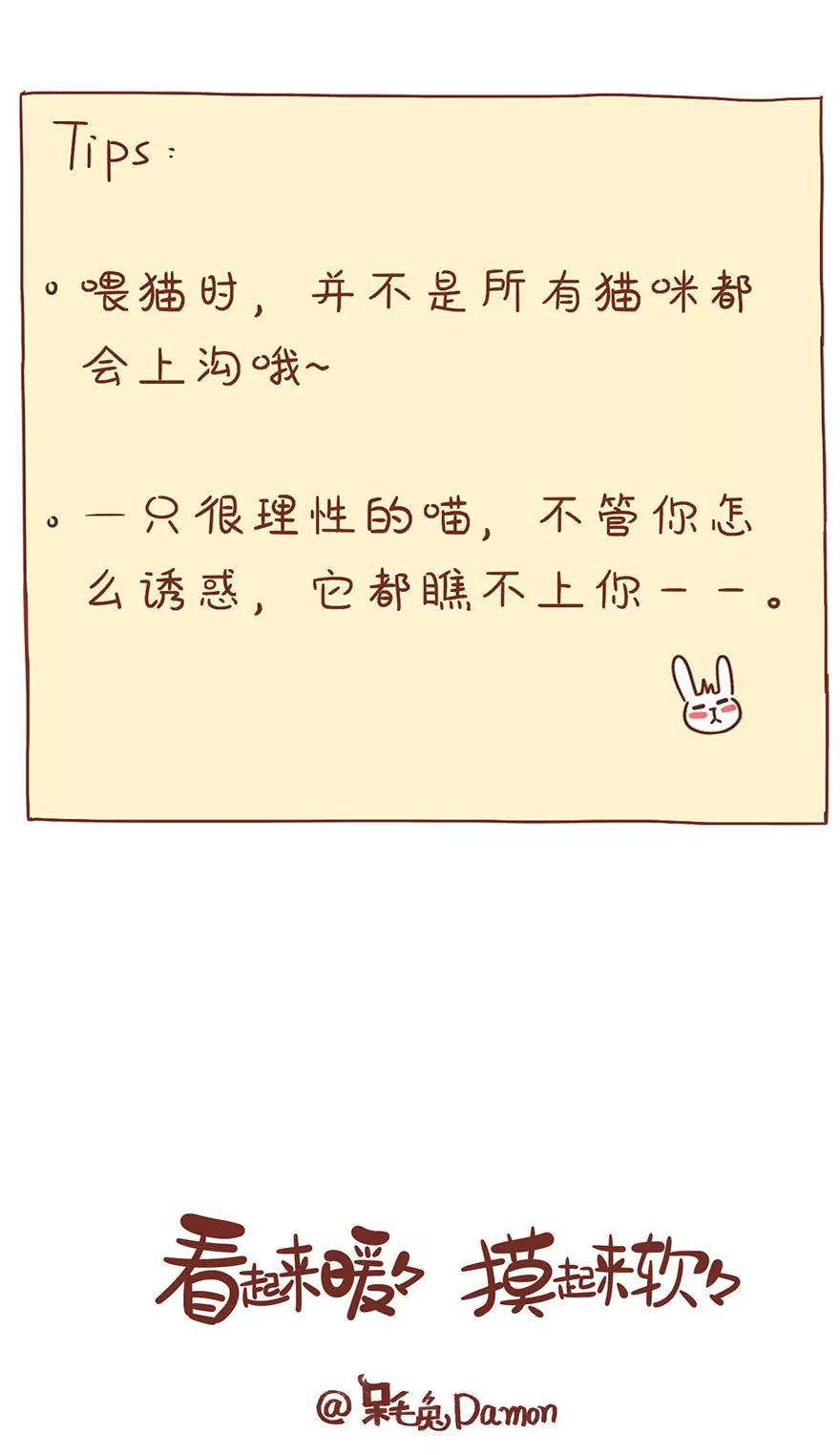 《米米和呆毛兔》薛定谔的主人 第17页
