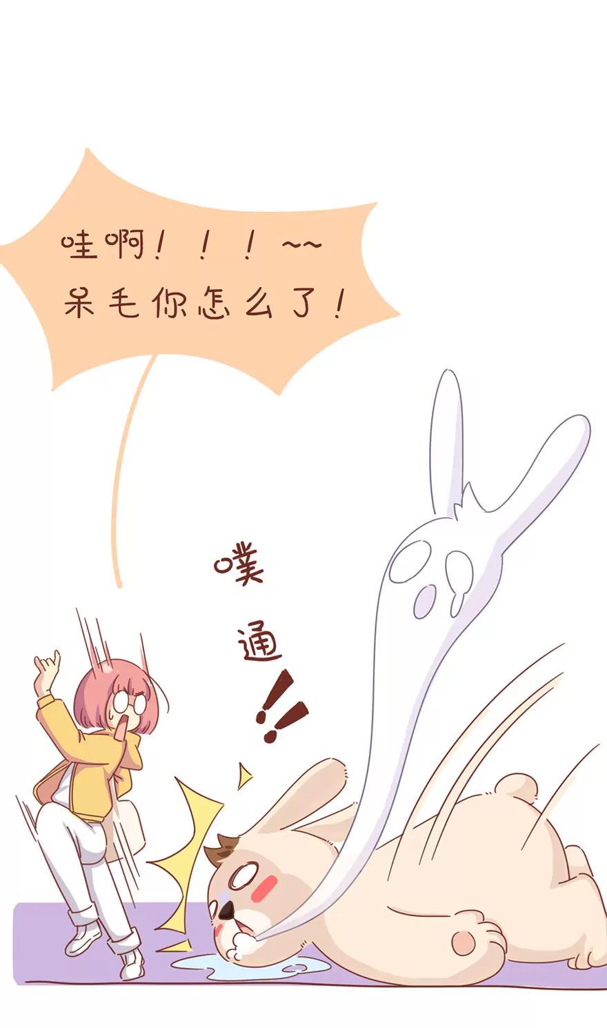 《米米和呆毛兔》考核成绩 第12页