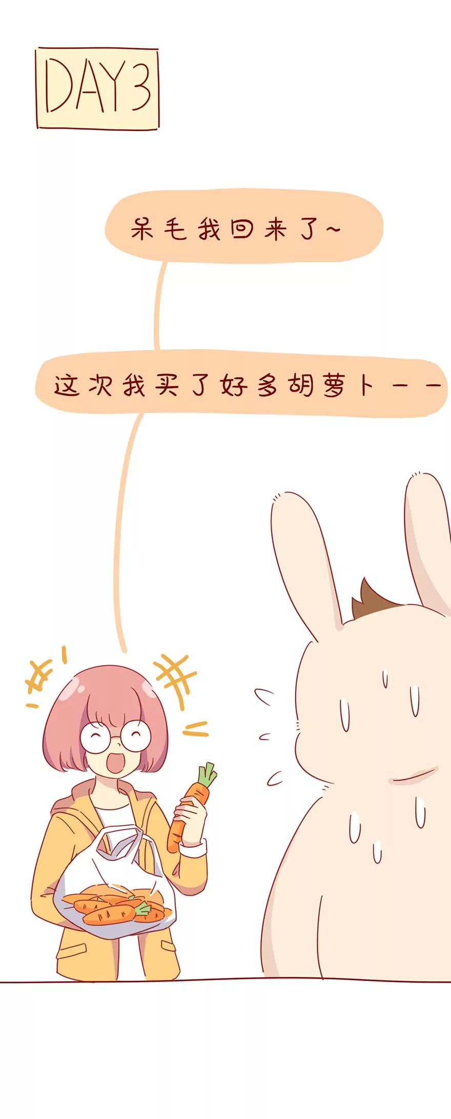 《米米和呆毛兔》胡萝卜 第11页