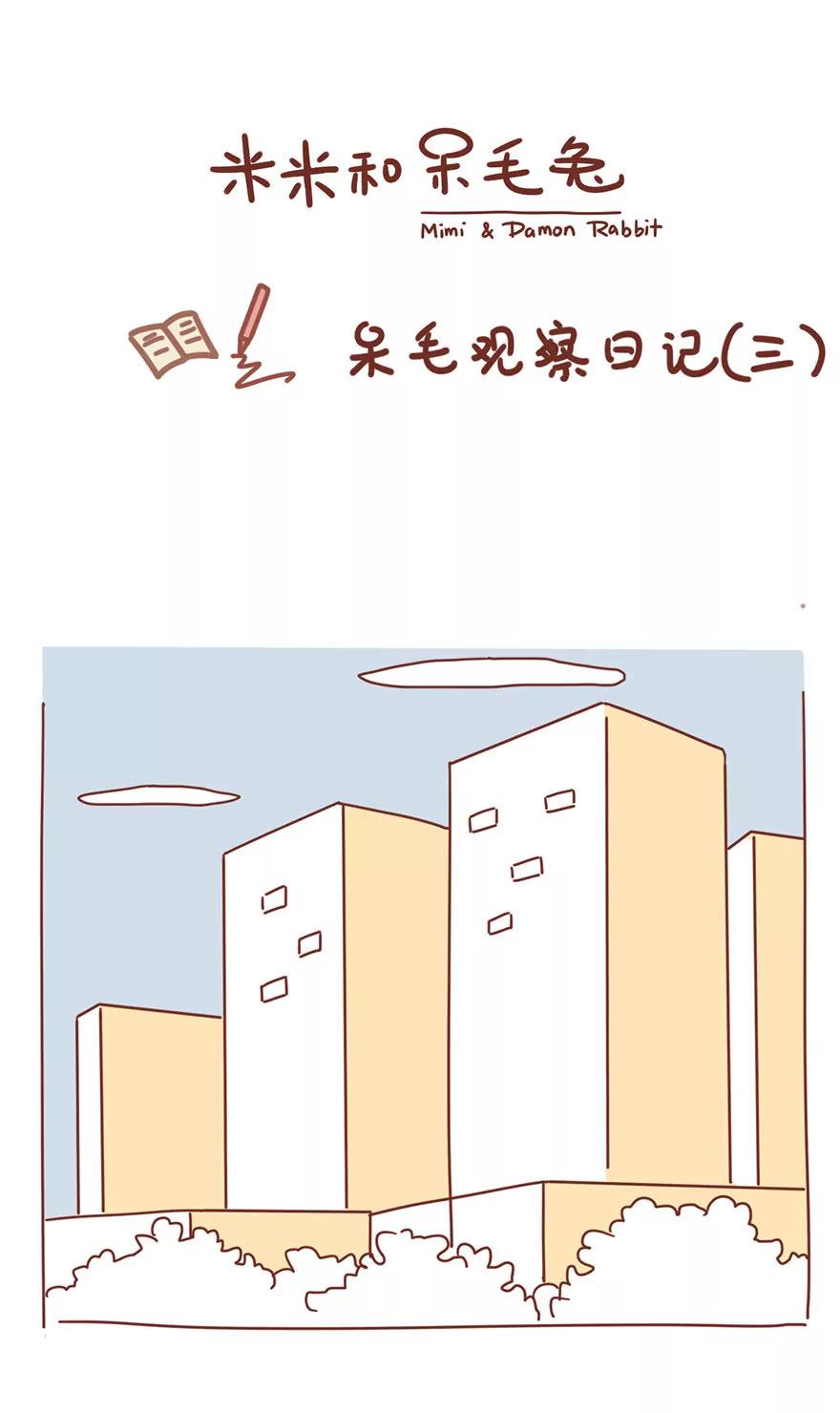 《米米和呆毛兔》呆毛观察日记（三） 第1页