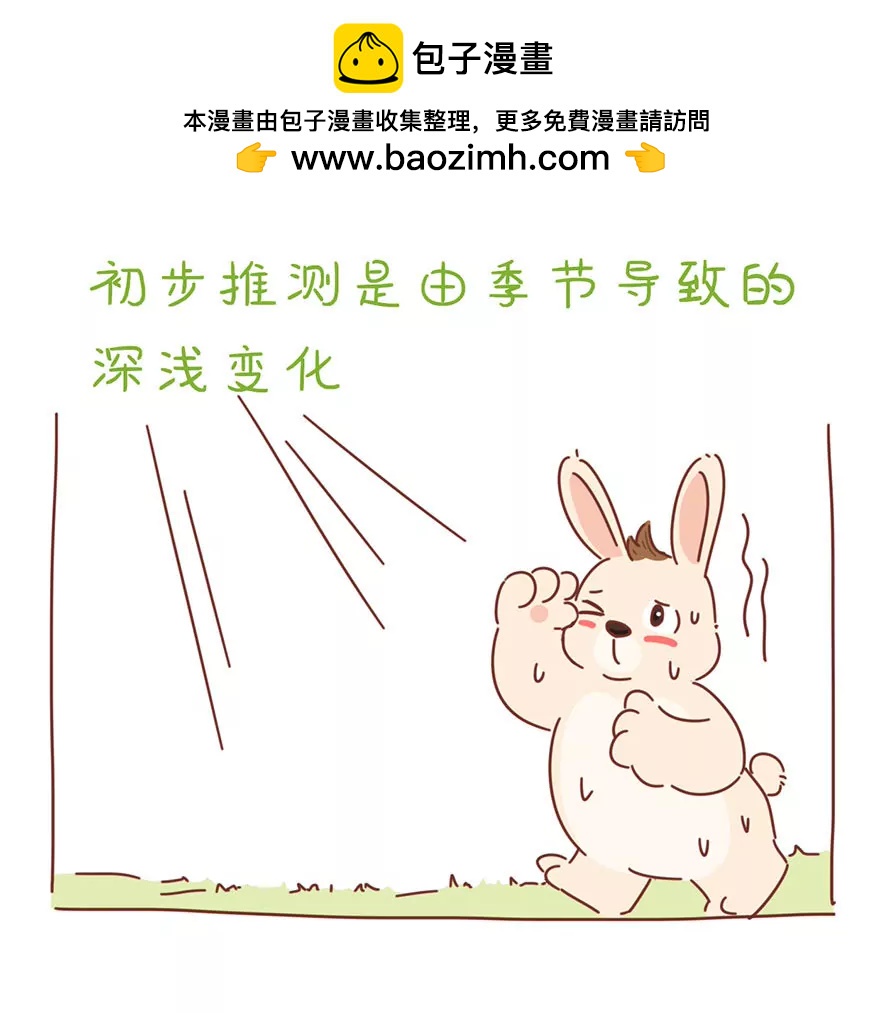 《米米和呆毛兔》呆毛观察日记（三） 第8页