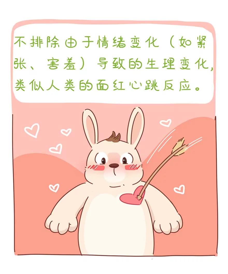 《米米和呆毛兔》呆毛观察日记（三） 第9页