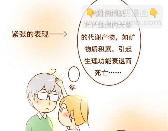 《与理科男的恋爱》第14话 学长摸我的头了 第37页