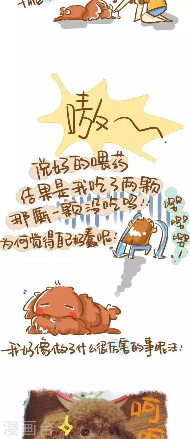 《你这么逗B对得起谁》第11话狗奴日常 第4页