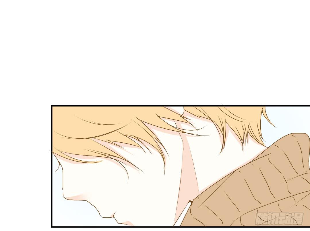 《触不可及的世界》你了解吗？ 第21页